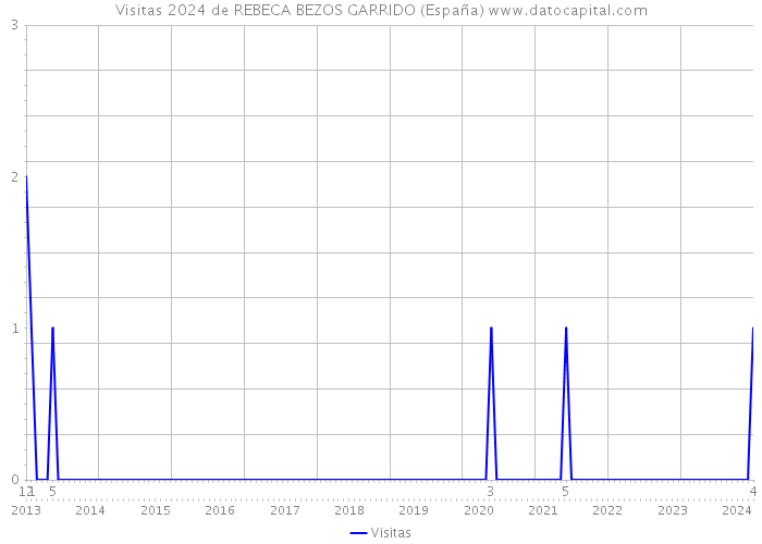 Visitas 2024 de REBECA BEZOS GARRIDO (España) 