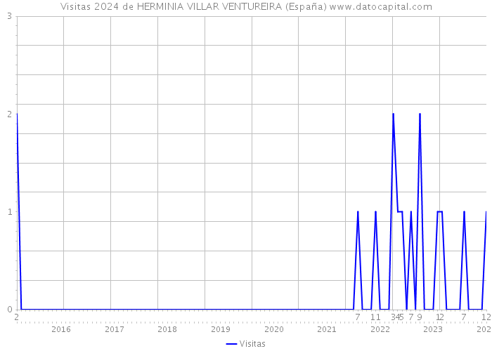 Visitas 2024 de HERMINIA VILLAR VENTUREIRA (España) 