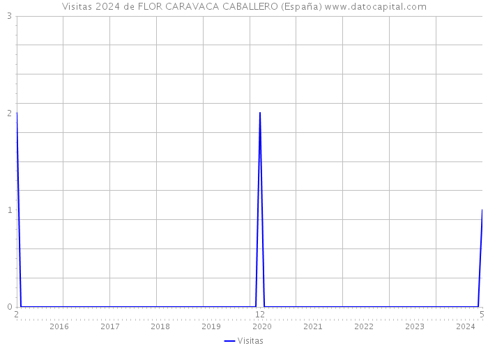 Visitas 2024 de FLOR CARAVACA CABALLERO (España) 