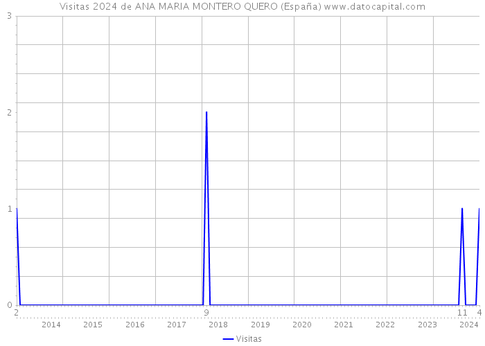 Visitas 2024 de ANA MARIA MONTERO QUERO (España) 