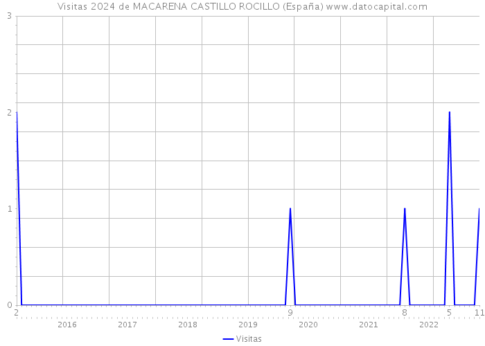 Visitas 2024 de MACARENA CASTILLO ROCILLO (España) 