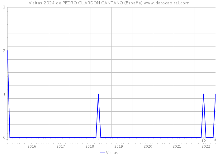 Visitas 2024 de PEDRO GUARDON CANTANO (España) 