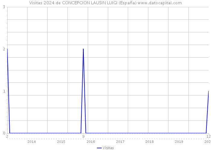 Visitas 2024 de CONCEPCION LAUSIN LUIGI (España) 