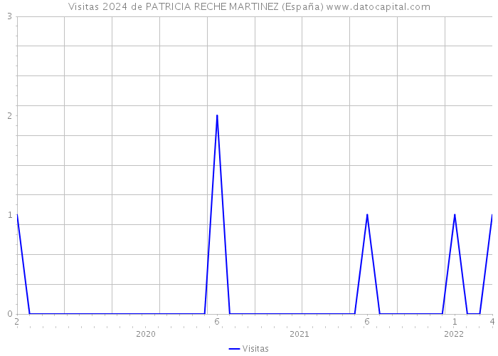 Visitas 2024 de PATRICIA RECHE MARTINEZ (España) 
