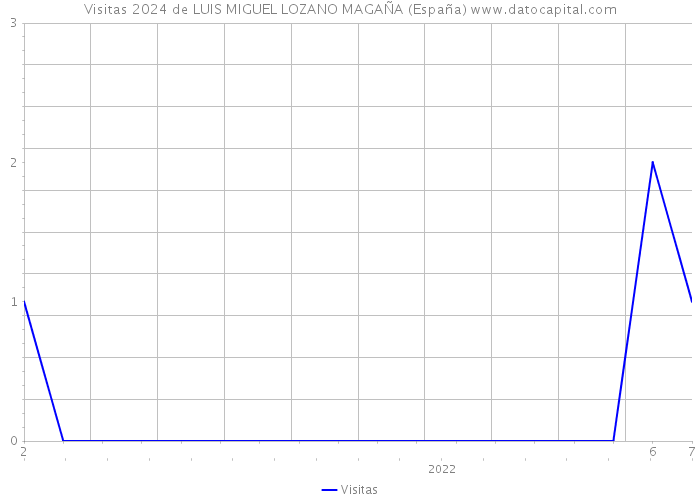 Visitas 2024 de LUIS MIGUEL LOZANO MAGAÑA (España) 