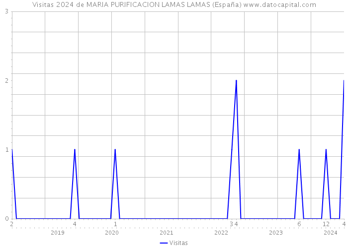 Visitas 2024 de MARIA PURIFICACION LAMAS LAMAS (España) 