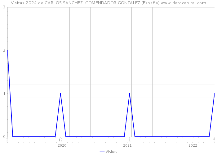 Visitas 2024 de CARLOS SANCHEZ-COMENDADOR GONZALEZ (España) 