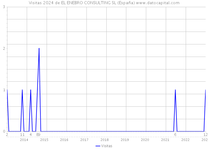 Visitas 2024 de EL ENEBRO CONSULTING SL (España) 