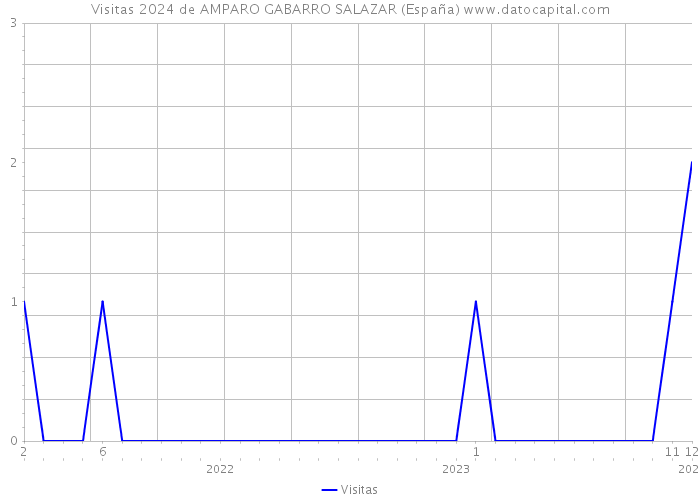 Visitas 2024 de AMPARO GABARRO SALAZAR (España) 