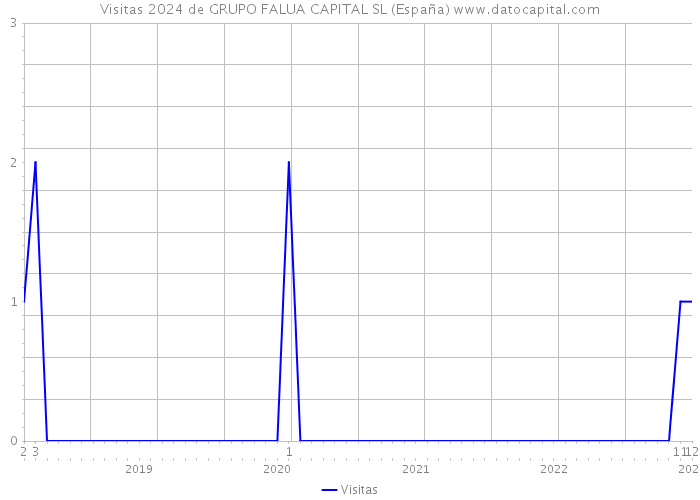 Visitas 2024 de GRUPO FALUA CAPITAL SL (España) 