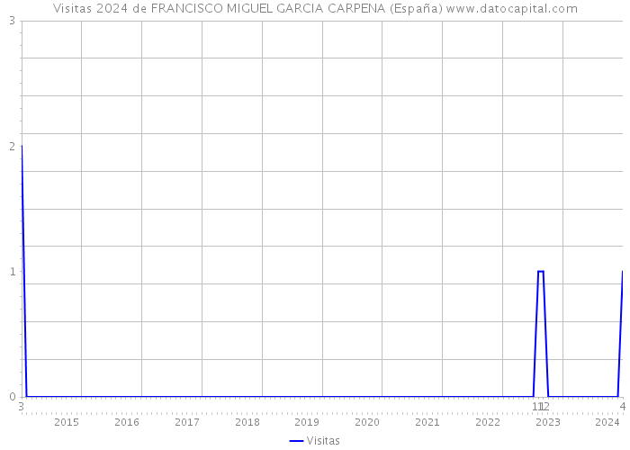 Visitas 2024 de FRANCISCO MIGUEL GARCIA CARPENA (España) 