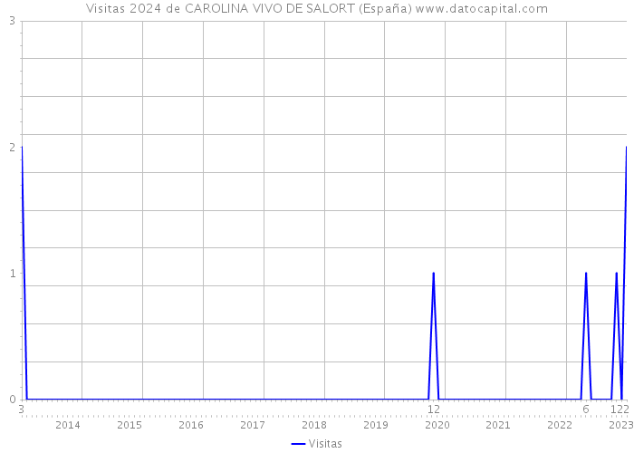 Visitas 2024 de CAROLINA VIVO DE SALORT (España) 