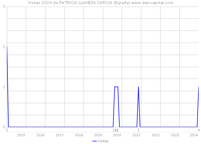 Visitas 2024 de PATRICIA LLANEZA GARCIA (España) 