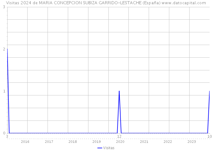 Visitas 2024 de MARIA CONCEPCION SUBIZA GARRIDO-LESTACHE (España) 