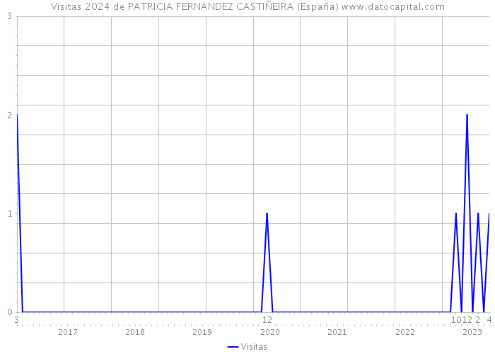 Visitas 2024 de PATRICIA FERNANDEZ CASTIÑEIRA (España) 