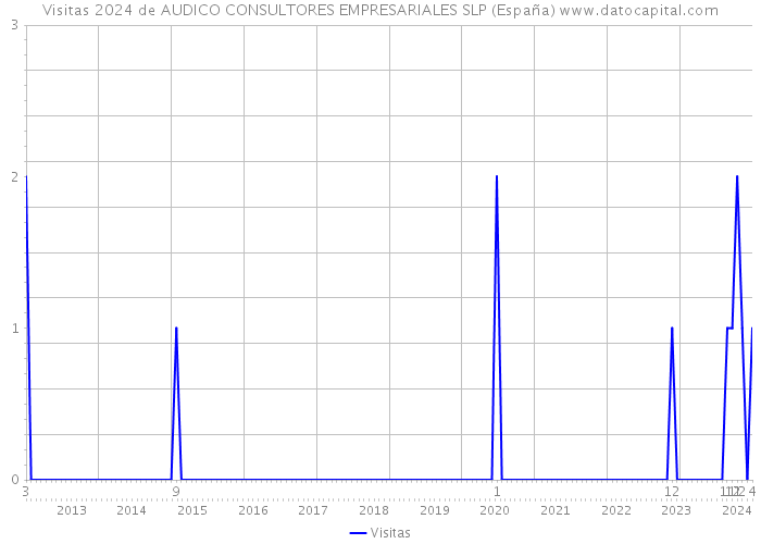 Visitas 2024 de AUDICO CONSULTORES EMPRESARIALES SLP (España) 