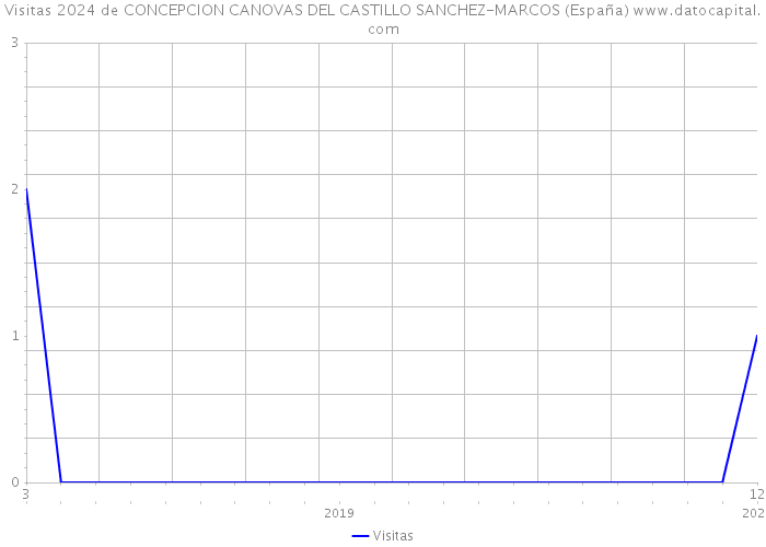 Visitas 2024 de CONCEPCION CANOVAS DEL CASTILLO SANCHEZ-MARCOS (España) 