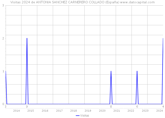 Visitas 2024 de ANTONIA SANCHEZ CARNERERO COLLADO (España) 