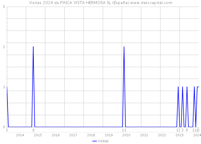 Visitas 2024 de FINCA VISTA HERMOSA SL (España) 