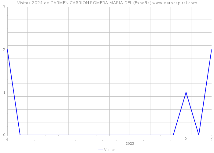 Visitas 2024 de CARMEN CARRION ROMERA MARIA DEL (España) 