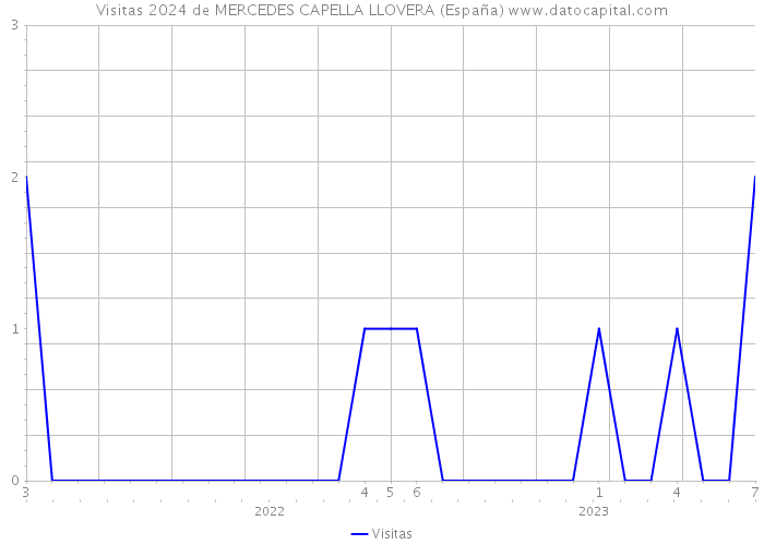 Visitas 2024 de MERCEDES CAPELLA LLOVERA (España) 