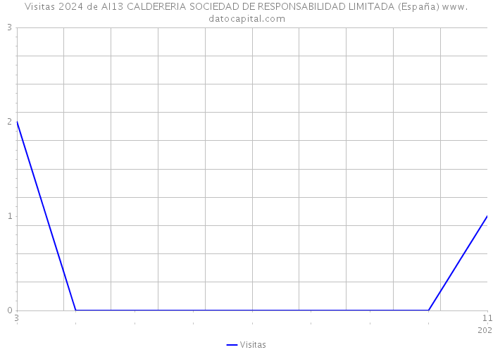Visitas 2024 de AI13 CALDERERIA SOCIEDAD DE RESPONSABILIDAD LIMITADA (España) 