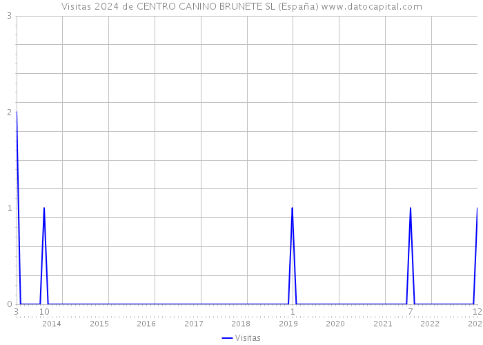 Visitas 2024 de CENTRO CANINO BRUNETE SL (España) 