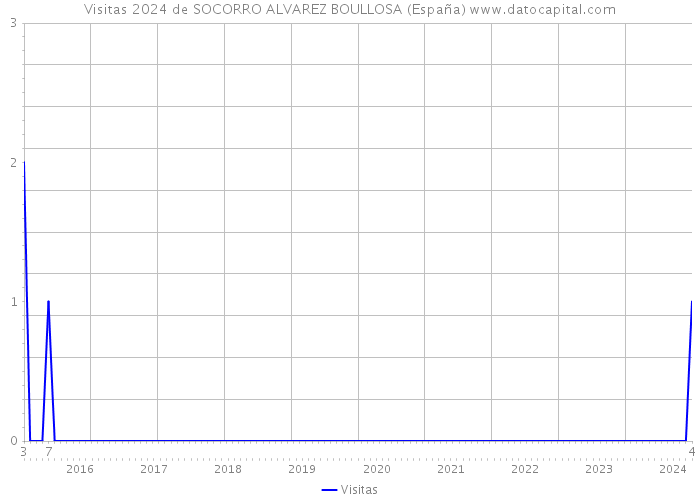 Visitas 2024 de SOCORRO ALVAREZ BOULLOSA (España) 