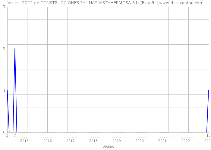 Visitas 2024 de CONSTRUCCIONES SALINAS VISTAHERMOSA S.L. (España) 