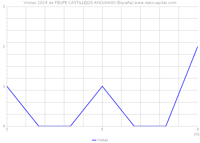 Visitas 2024 de FELIPE CASTILLEJOS ANGUIANO (España) 