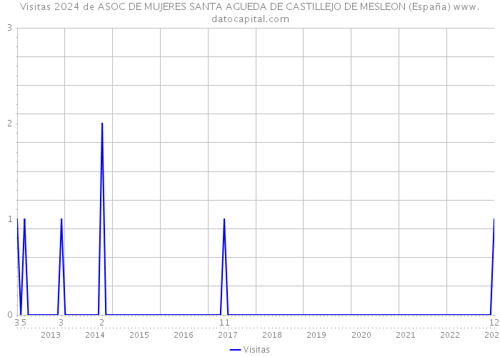 Visitas 2024 de ASOC DE MUJERES SANTA AGUEDA DE CASTILLEJO DE MESLEON (España) 