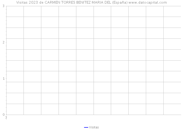 Visitas 2023 de CARMEN TORRES BENITEZ MARIA DEL (España) 