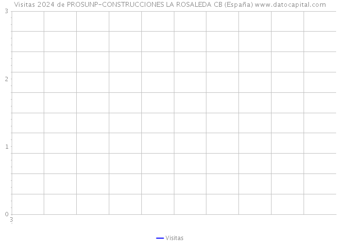 Visitas 2024 de PROSUNP-CONSTRUCCIONES LA ROSALEDA CB (España) 
