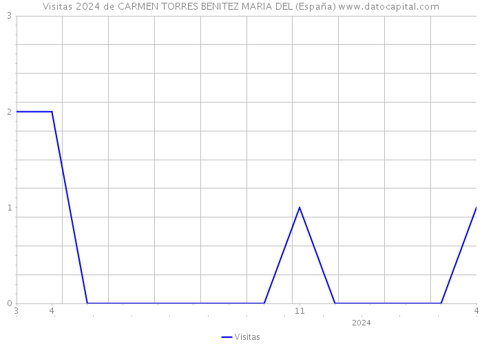 Visitas 2024 de CARMEN TORRES BENITEZ MARIA DEL (España) 
