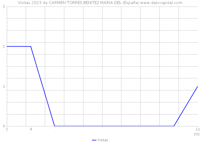 Visitas 2023 de CARMEN TORRES BENITEZ MARIA DEL (España) 