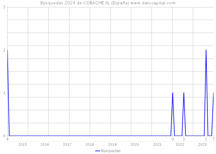 Búsquedas 2024 de COBACHE SL (España) 