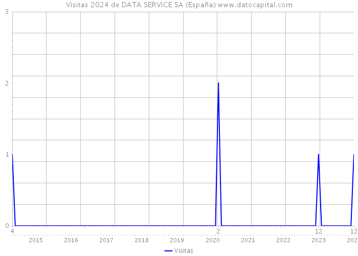 Visitas 2024 de DATA SERVICE SA (España) 