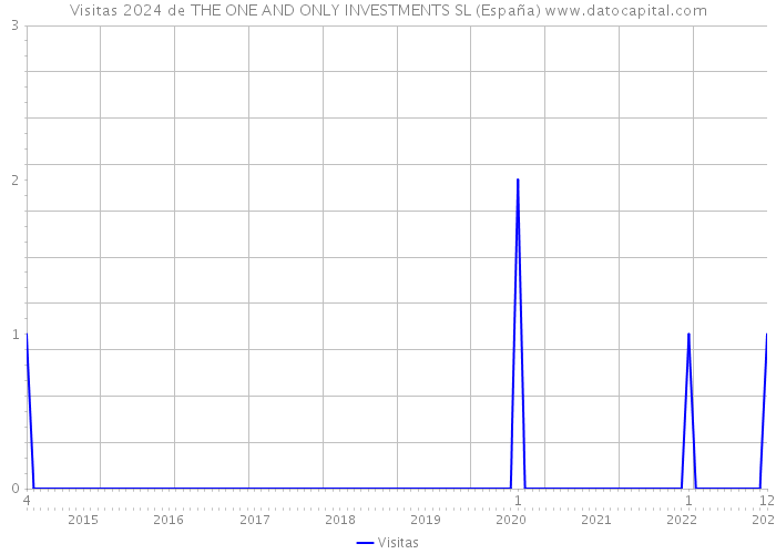Visitas 2024 de THE ONE AND ONLY INVESTMENTS SL (España) 