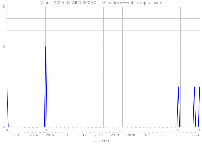 Visitas 2024 de WILO 6000 S.L. (España) 