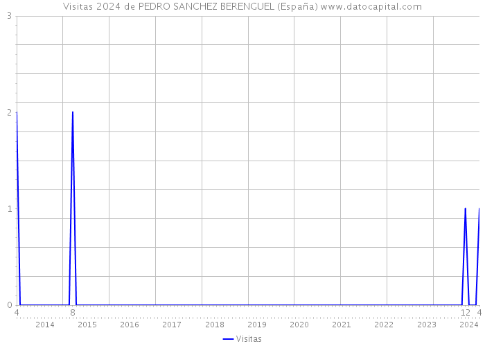 Visitas 2024 de PEDRO SANCHEZ BERENGUEL (España) 