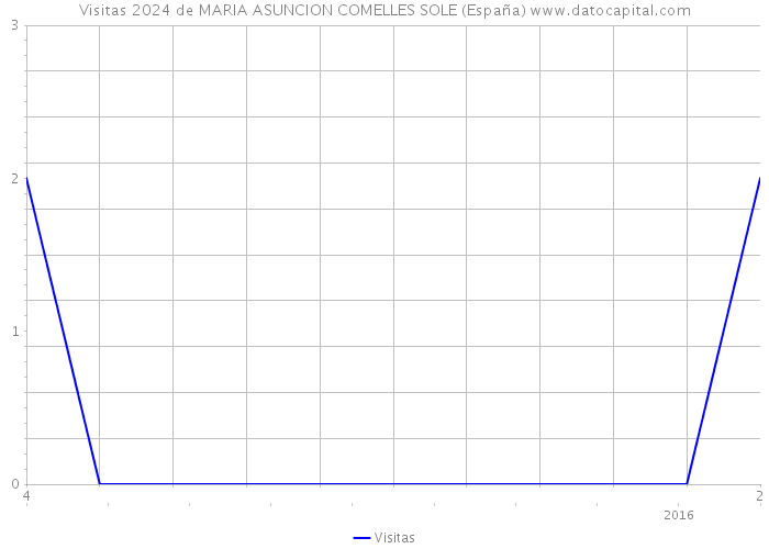 Visitas 2024 de MARIA ASUNCION COMELLES SOLE (España) 