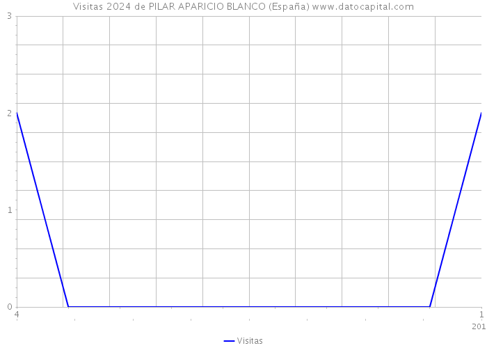 Visitas 2024 de PILAR APARICIO BLANCO (España) 