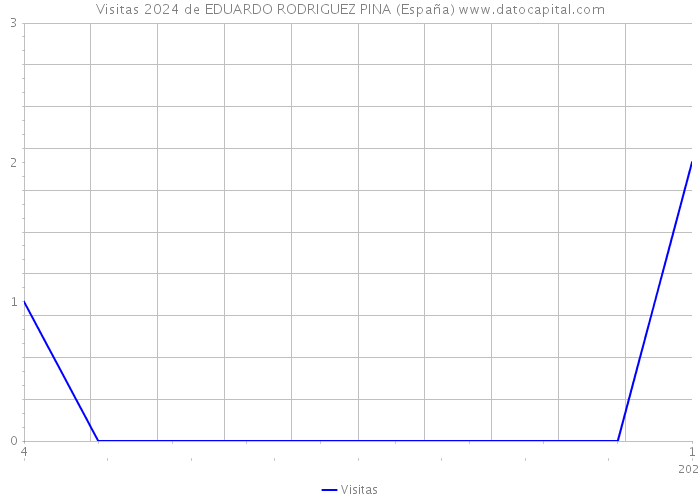 Visitas 2024 de EDUARDO RODRIGUEZ PINA (España) 
