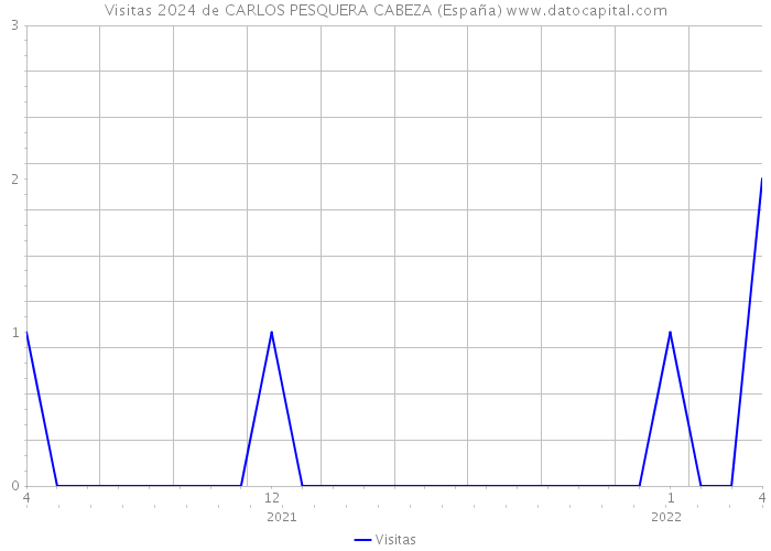 Visitas 2024 de CARLOS PESQUERA CABEZA (España) 