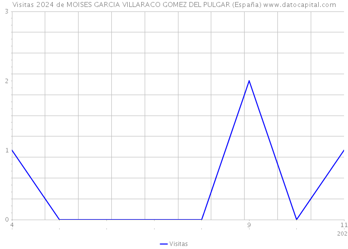 Visitas 2024 de MOISES GARCIA VILLARACO GOMEZ DEL PULGAR (España) 