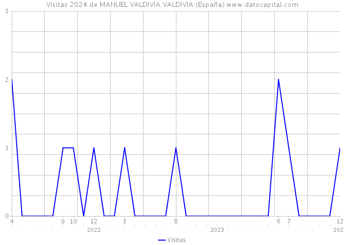 Visitas 2024 de MANUEL VALDIVIA VALDIVIA (España) 