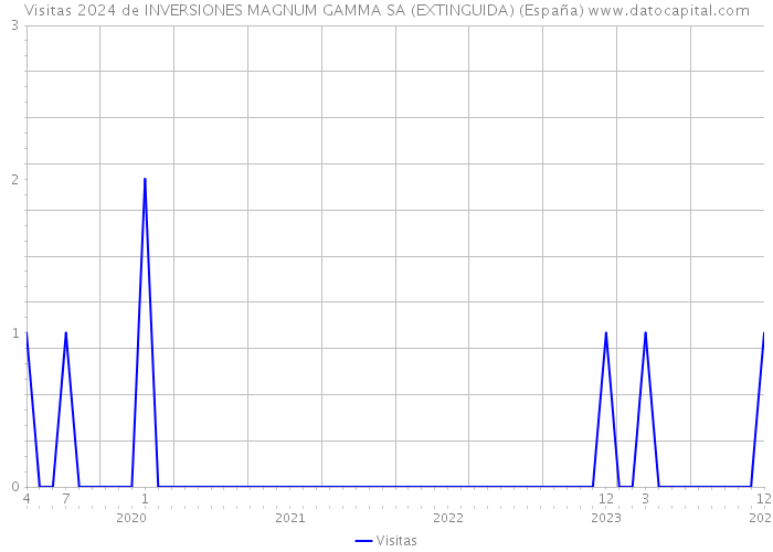 Visitas 2024 de INVERSIONES MAGNUM GAMMA SA (EXTINGUIDA) (España) 