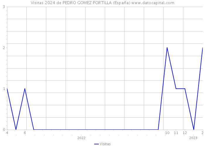 Visitas 2024 de PEDRO GOMEZ PORTILLA (España) 