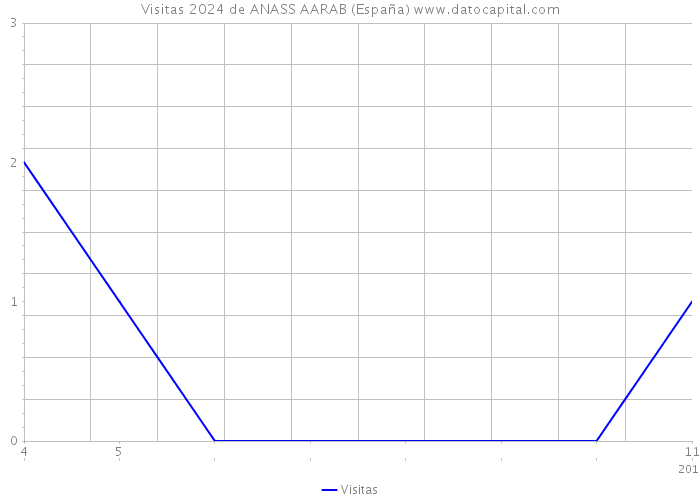 Visitas 2024 de ANASS AARAB (España) 