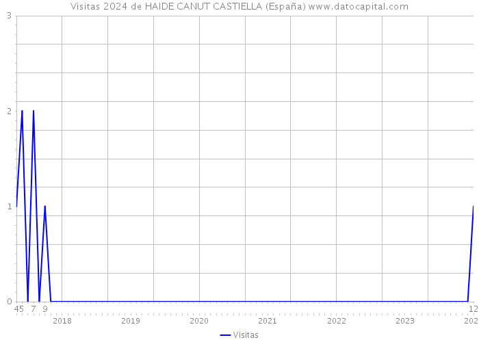 Visitas 2024 de HAIDE CANUT CASTIELLA (España) 